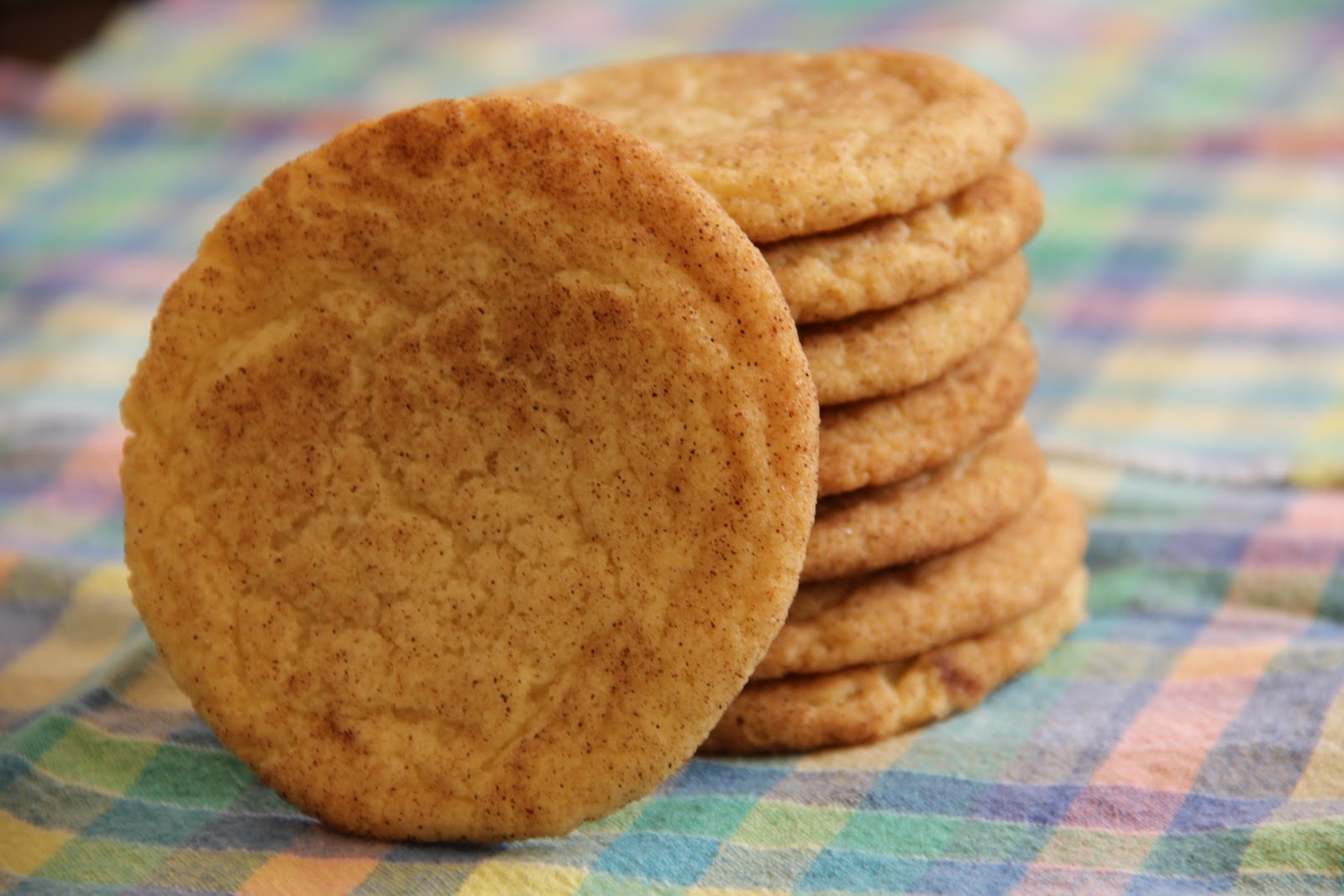 Snickerdoodle Cookie Dough 2 Tub